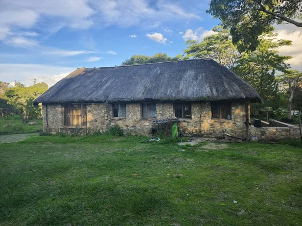 Farm & Agricultural Land