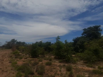 Farm & Agricultural Land