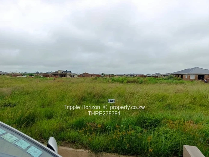 Nyabira stand Pennyrose for sale 