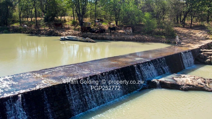 Prime 3,854-Hectare Farm for Sale – Kezi