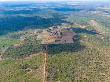 Farm & Agricultural Land