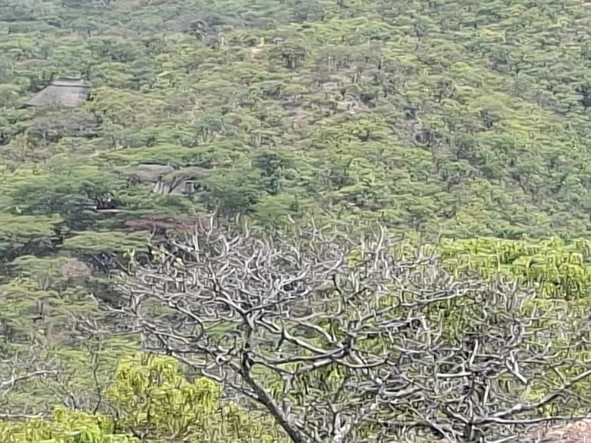 Farm & Agricultural Land