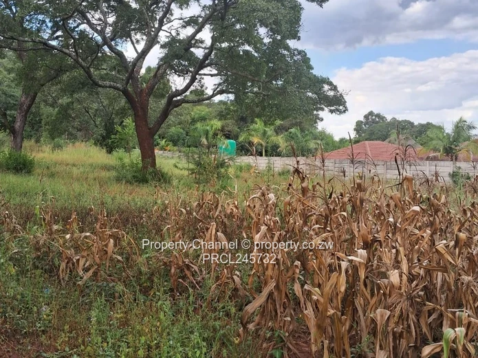 Stand For Sale In Borrowdale Brooke Ridge