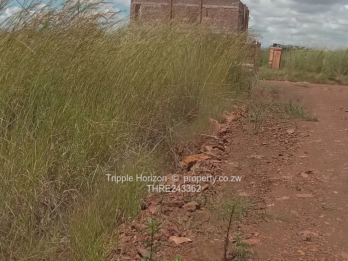 Fairview Westgate stand for sale 