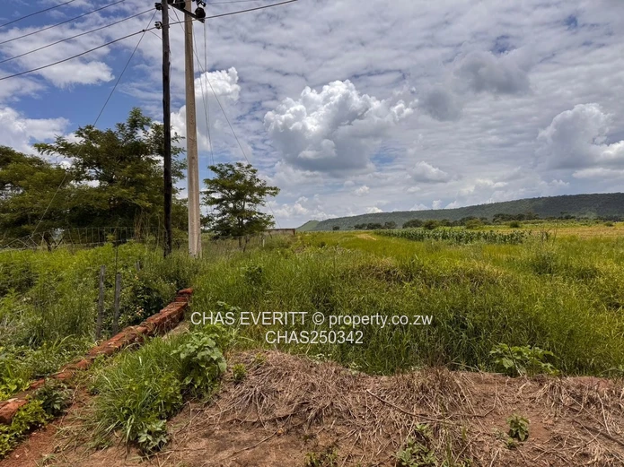 Kintyre Estate Plot For Sale