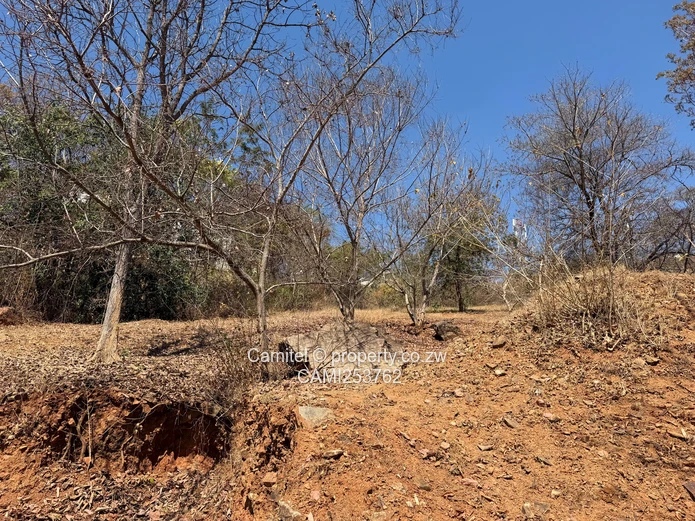 6005 sqm Stand, Borrowdale Brooke inside the boom gateTarred, Tree-Lined Main Road