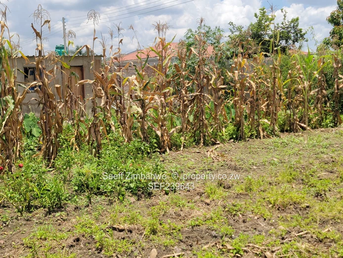 5-Bedroomed Sanctuary 