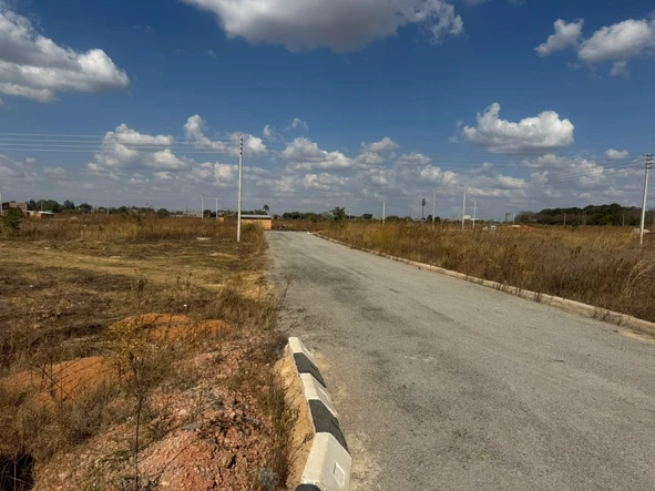 Stands & Residential Land