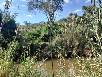 Farm & Agricultural Land