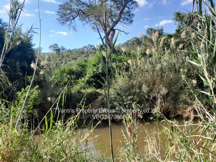 Mhangura River Ranch plot for sale !! (Sole Mandate)