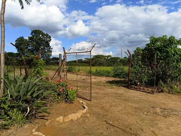Farm & Agricultural Land