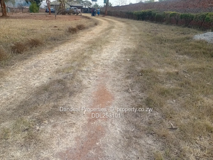 2000m² Carrick Creagh Stand — Main Road Frontage, Tarred Access