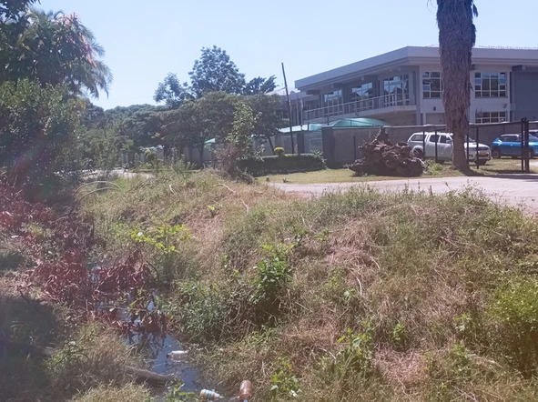 Commercial & Industrial Land