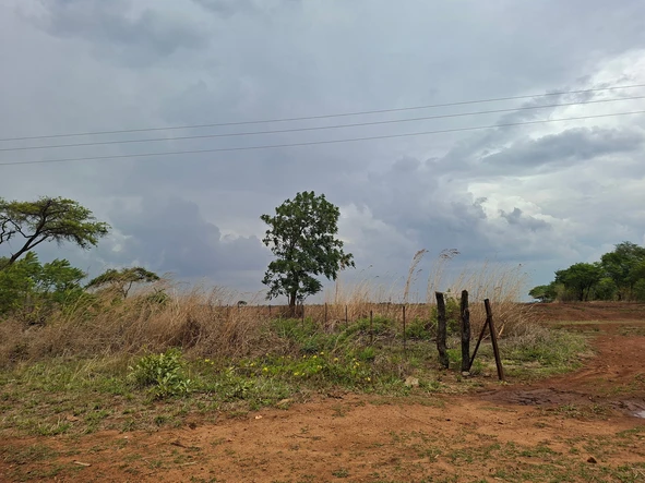 Farm & Agricultural Land