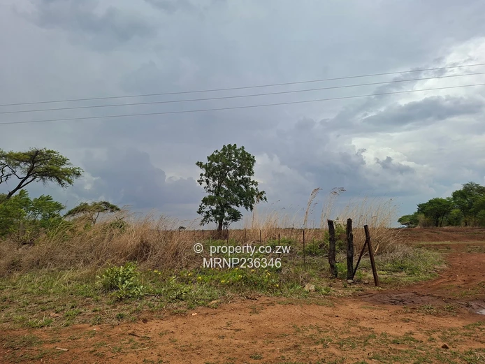 Beatrice Farm for sale (Sole Mandate)