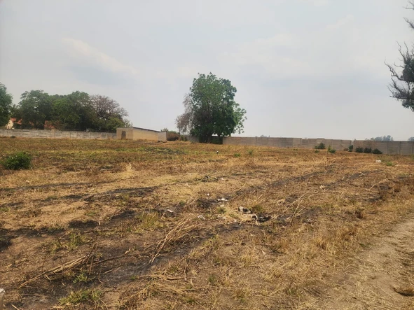 Stands & Residential Land