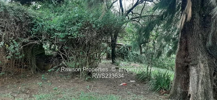 Prime Opportunity in Penhalonga