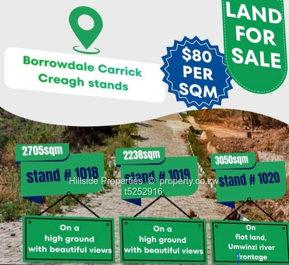 Carrick Creagh Estate land for sale  80usd per square (Sole Mandate)