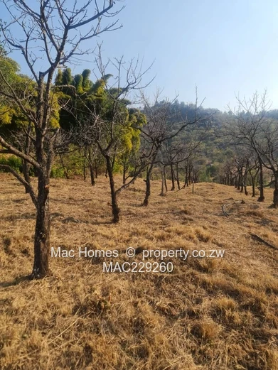 **Stunning Agricultural Land for Sale in Juliasdale, Manicaland**