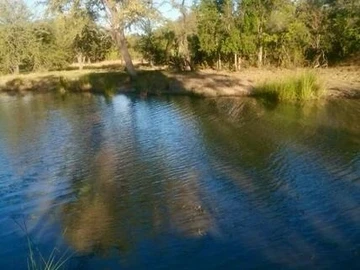 Farm & Agricultural Land