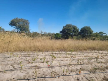 Farm & Agricultural Land