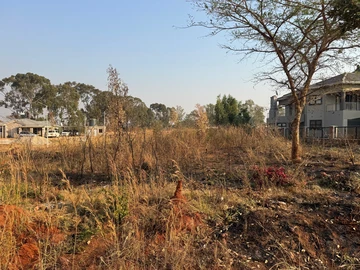 Stands & Residential Land