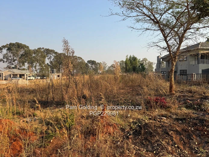 Arlington Low Density Stand For Sale