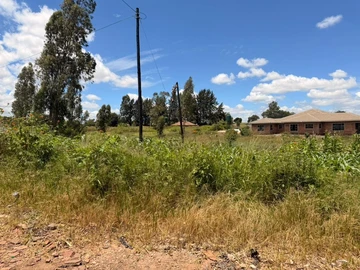 Stands & Residential Land