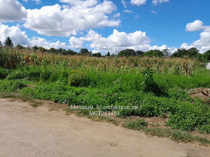 Half acre stands (serviced) (Sole Mandate)