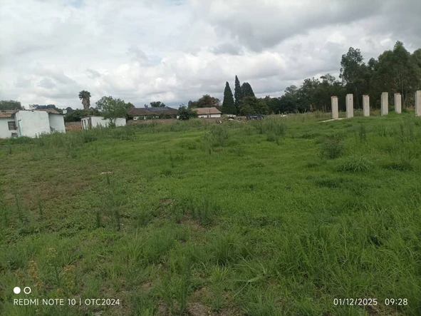 Stands & Residential Land