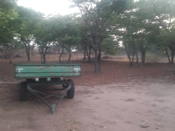 Farm & Agricultural Land