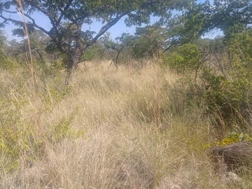 Farm & Agricultural Land