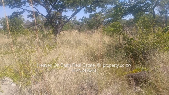 Farm for sale