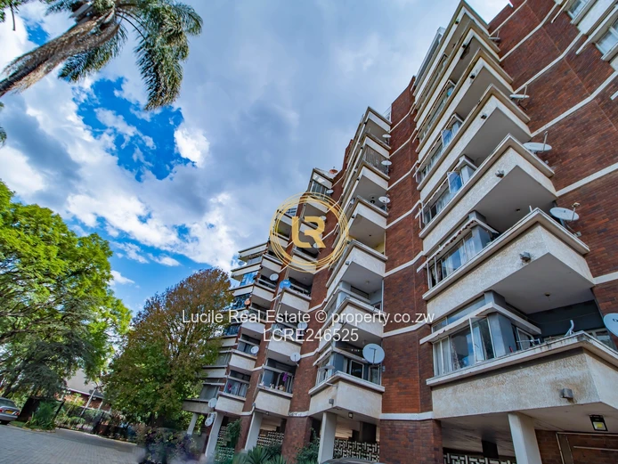Neat Apartment In Avenues