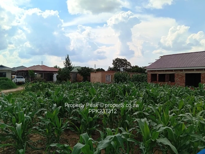 Budiriro 4 Corner Stand For Sale