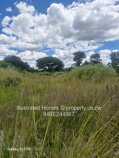 Nyatsime Park- built up area