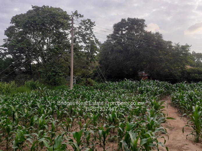 Residential infill stands with Title Deeds