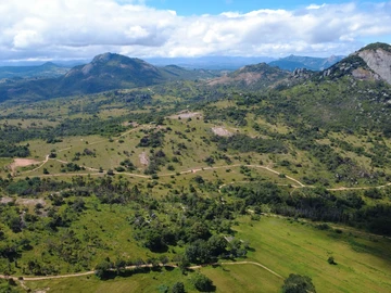 Farm & Agricultural Land