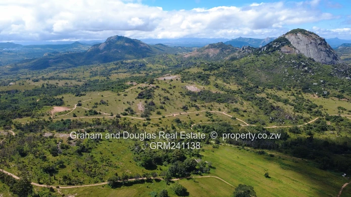 Farmland on Auction (Sole Mandate)