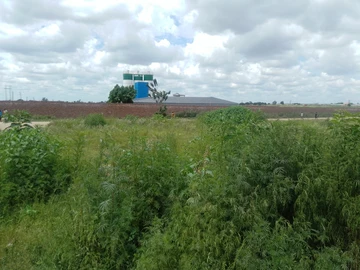 Commercial & Industrial Land