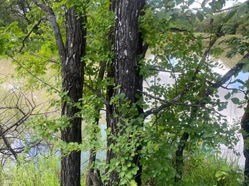 Farm & Agricultural Land