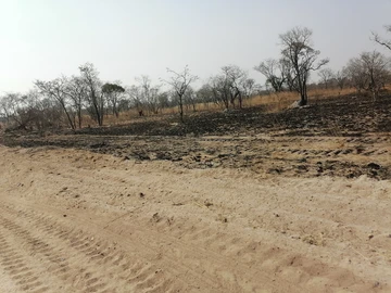 Farm & Agricultural Land