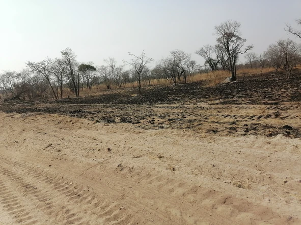 Farm & Agricultural Land