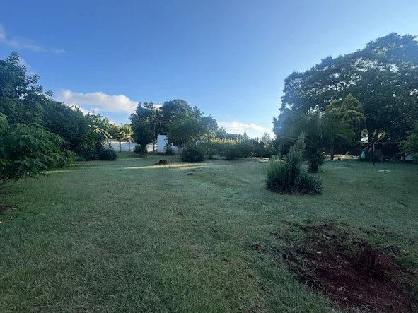 Stands & Residential Land