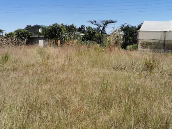 Stands & Residential Land