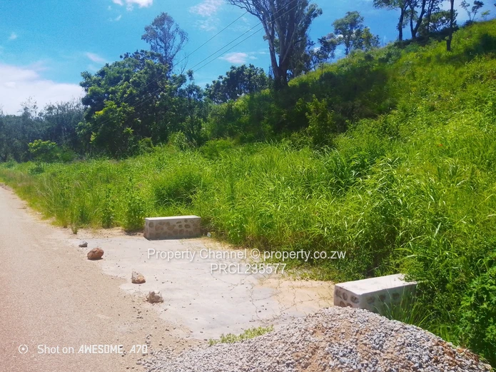 Sloping 4000m² Carrick Creagh — Subdividable, Tarred Road