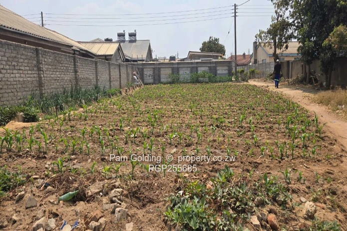 Ruwa Stands – Excellent Investment Opportunity