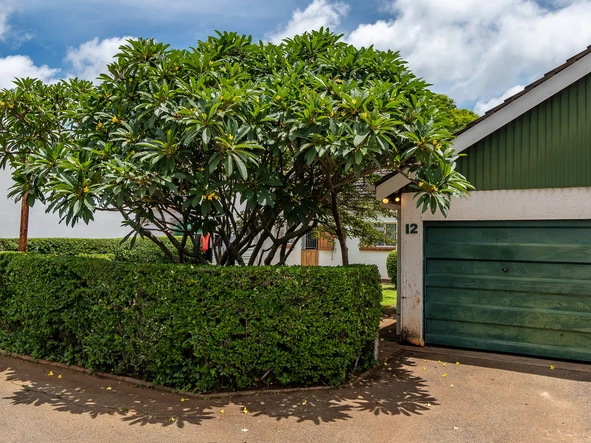 3 Bedroom Garden Flat