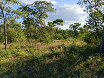 Farm & Agricultural Land