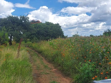 Farm & Agricultural Land